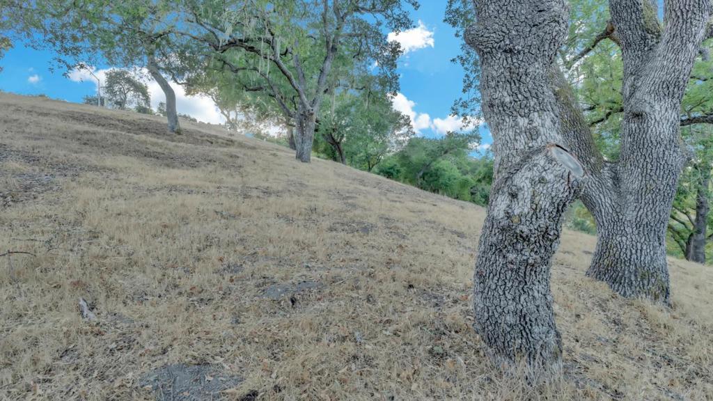 MLS #ML82019099 image #15