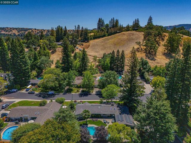 1023 White Gate Rd, Alamo CA: https://media.crmls.org/mediaz/2403e57e-10f9-4ed7-9a9f-37c446520fa4.jpg