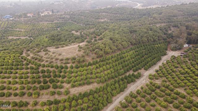 0 Donlon Road, Somis CA: https://media.crmls.org/mediaz/240b226e-7a30-4cdf-b139-9fbd706eb6b7.jpg