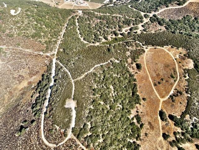 0 Pine Canyon Road, King City CA: https://media.crmls.org/mediaz/2410ffdb-156d-42ea-8e09-f01a82bd270b.jpg