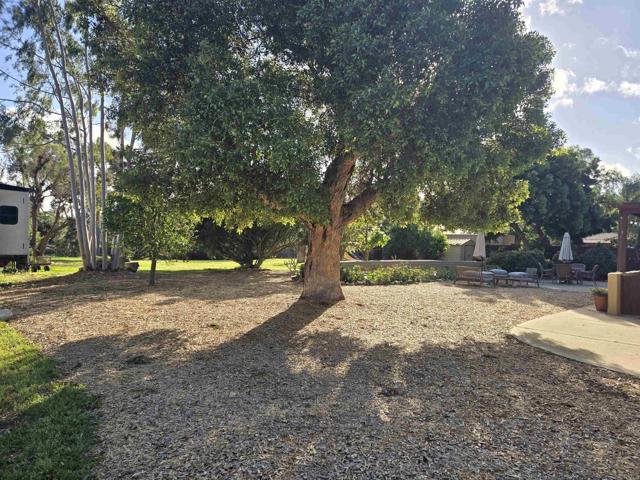 Detail Gallery Image 62 of 65 For 2205 Leon Ave, San Diego,  CA 92154 - 3 Beds | 2 Baths