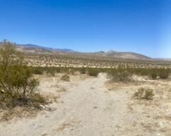 128 Caspers Road, Landers CA: https://media.crmls.org/mediaz/2422f8b5-4287-4815-ac93-5b482db29ac4.jpg