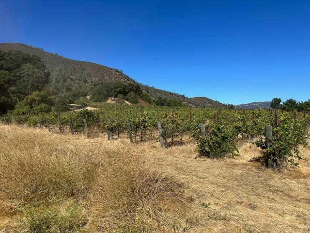 13160 Cienega Road, Hollister CA: https://media.crmls.org/mediaz/2430c25a-cf75-47a1-ac09-bea2489a7d93.jpg