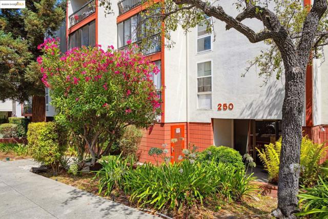 250 Whitmore St, Oakland CA: https://media.crmls.org/mediaz/243c6c7b-7197-43b2-b8b6-46f9ada1c9ed.jpg