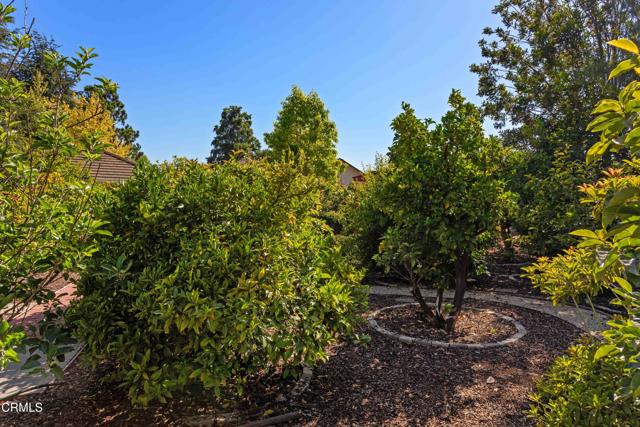 Detail Gallery Image 62 of 75 For 2000 Morongo Dr, Camarillo,  CA 93012 - 4 Beds | 3 Baths
