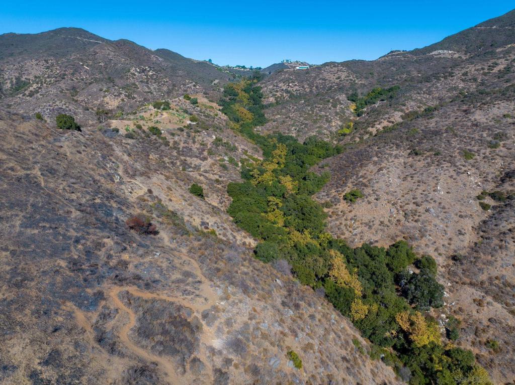 MLS #250022588SD img 16