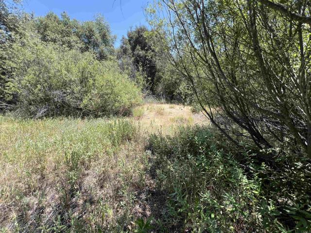 Detail Gallery Image 17 of 17 For Riverside Dr, Descanso,  CA 91916 - – Beds | – Baths