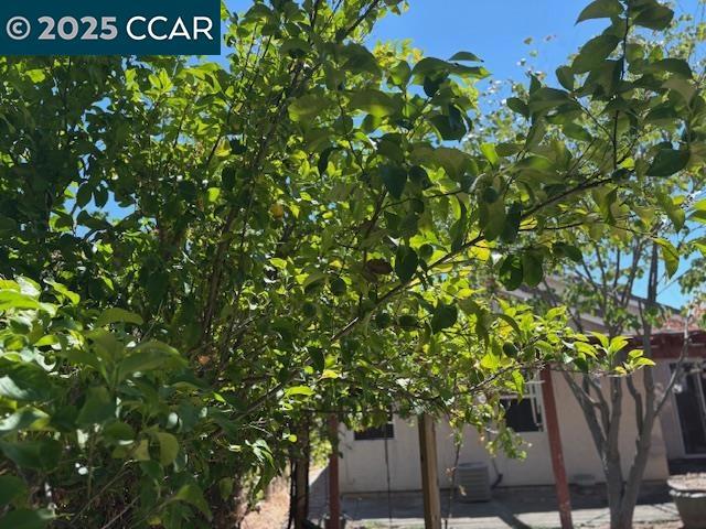3424 Molokai Rd, West Sacramento CA: https://media.crmls.org/mediaz/245bf7c6-645f-4dfa-a440-c3f495165285.jpg