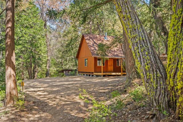 Detail Gallery Image 1 of 30 For 14 +/- Acres Palomar Divide Truck Trl, Palomar Mountain,  CA 92060 - – Beds | – Baths
