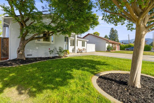 14596 Jacksol Drive, San Jose CA: https://media.crmls.org/mediaz/245fd07a-a6b4-4cff-a598-520bd6972051.jpg