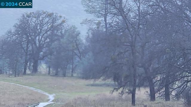 Image 9 of 19 For 0 Lakeview Loop