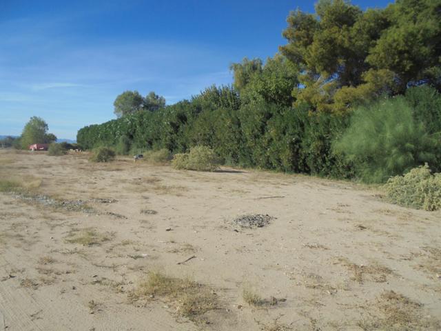 654 Riviera Dr., Blythe CA: https://media.crmls.org/mediaz/2482eb1a-92f6-44d4-98ae-6e199cb7f85d.jpg