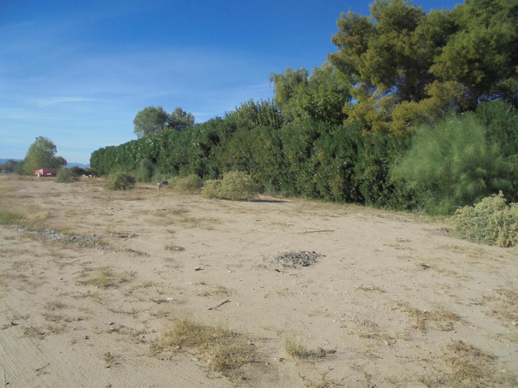 MLS #219138296DA image #33