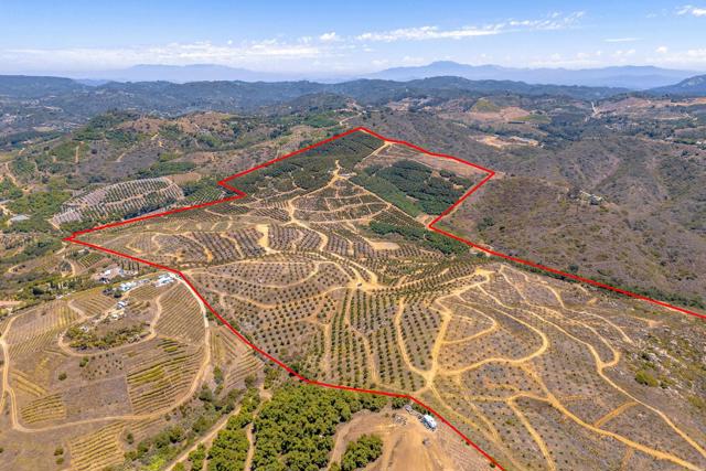 Detail Gallery Image 29 of 40 For 45000 Rancho Fallbrook Rd, Temecula,  CA 92590 - – Beds | – Baths