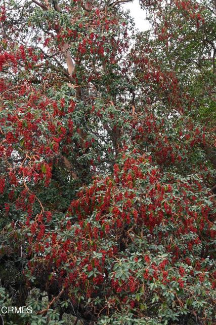 Detail Gallery Image 56 of 59 For 24051 Fig Tree Ln, Yorkville,  CA 95494 - – Beds | – Baths