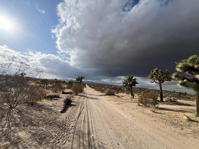 0 Campanula Street, Yucca Valley CA: https://media.crmls.org/mediaz/24907ca4-3062-46fd-be8a-6889e306aa81.jpg