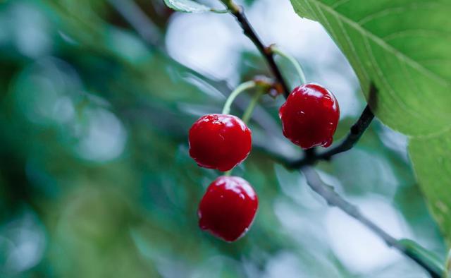 0 APN 841-38-029, Gilroy CA: https://media.crmls.org/mediaz/2492d096-ffca-4780-9857-89106512f49d.jpg