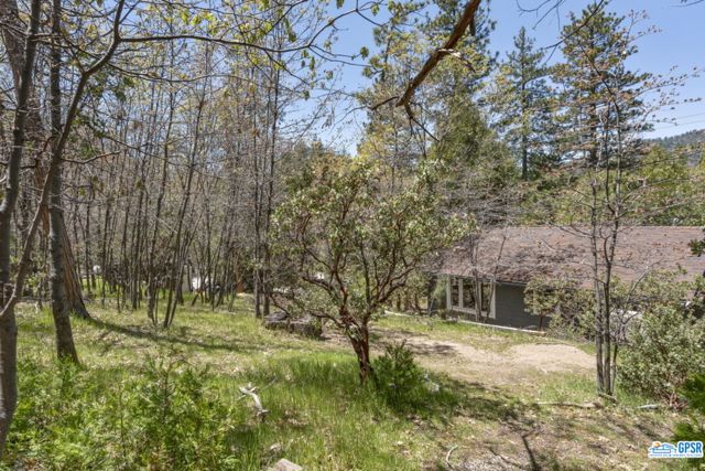 53455 Middle Ridge Drive, Idyllwild, California 92549, ,Single Family Residence,For Sale,Middle Ridge,23269573