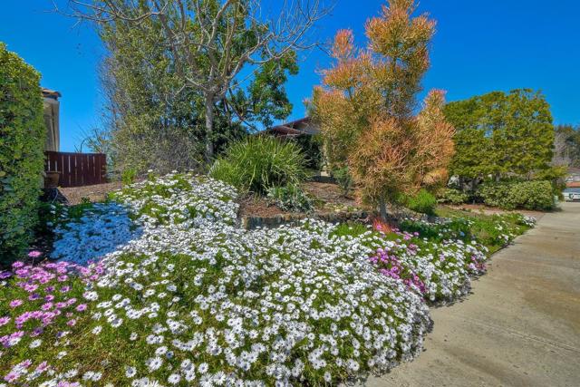 10434 Woodchuck Pt, San Diego CA: https://media.crmls.org/mediaz/249a59c1-fc6a-49e7-848c-88951191410d.jpg