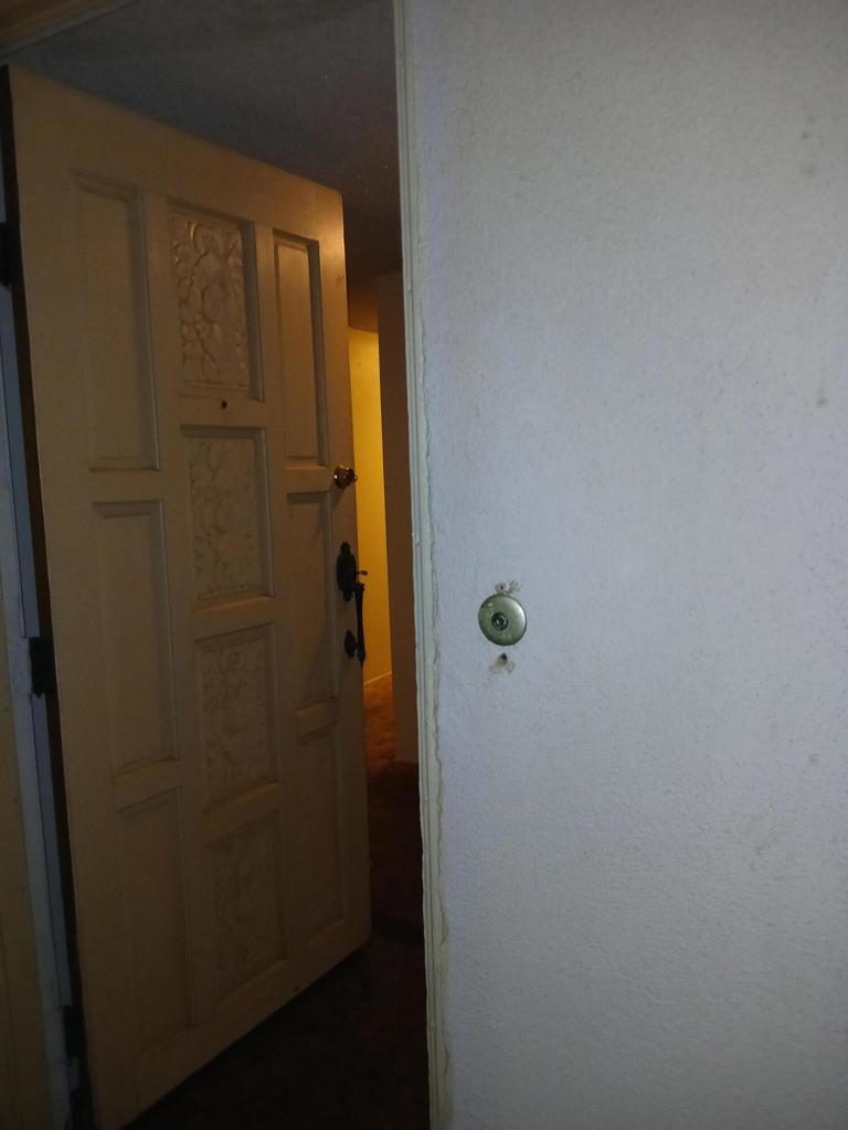 MLS #219139068DA image #19