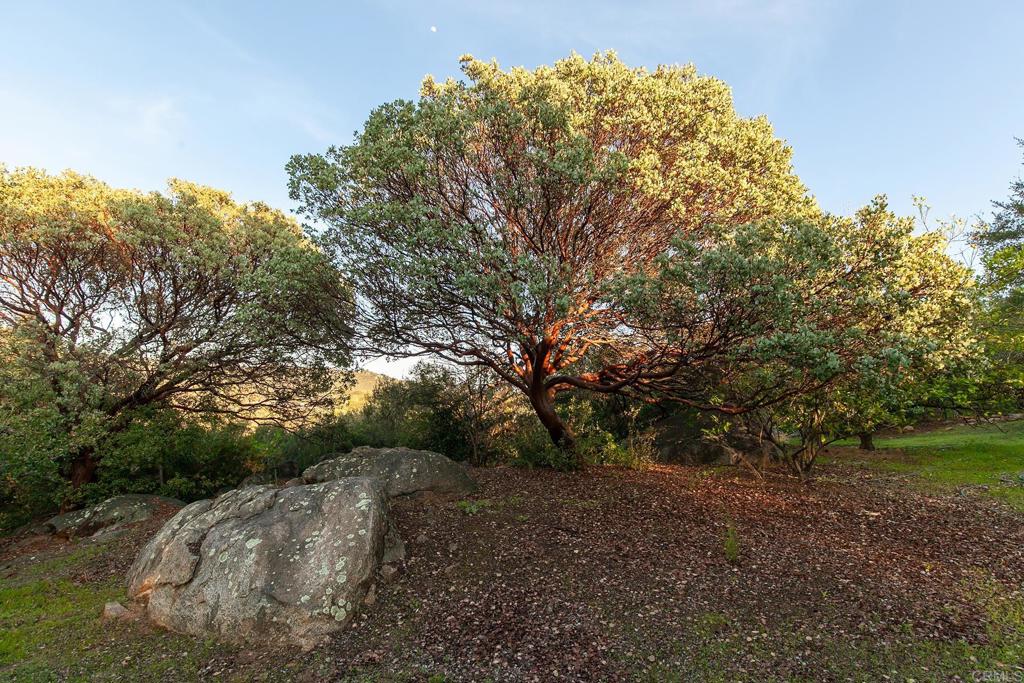 https://media.crmls.org/mediaz/24ac9d71-c3d3-4a65-a674-d56f0cbc15c4.jpg?preset=X-Large