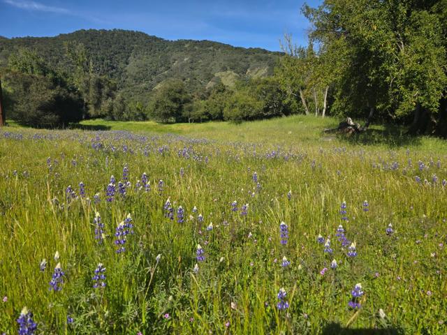 16 SLEEPY HOLLOW DRIVE, Carmel Valley CA: https://media.crmls.org/mediaz/24bbe0e7-b1f8-4727-b69c-bd354a93eb25.jpg