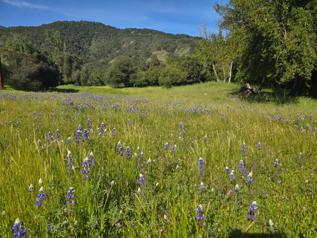 MLS #ML82001285 image #21