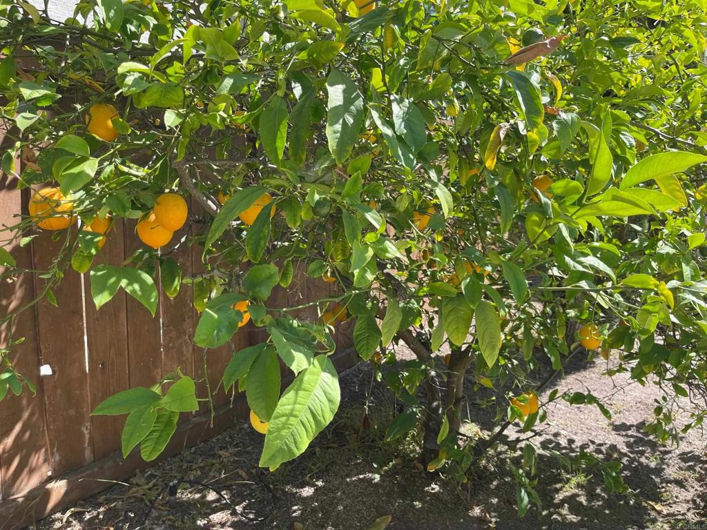 https://media.crmls.org/mediaz/24bee08b-4b5d-4550-b204-20a79375753f.jpg?preset=X-Large