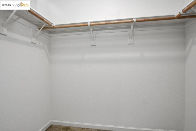 497 Tintori Ct, Brentwood CA: https://media.crmls.org/mediaz/24c5b71e-1ee9-400c-9d7c-cb2b7f68a2e1.jpg
