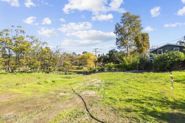 14-web-or-mls-DSC07984