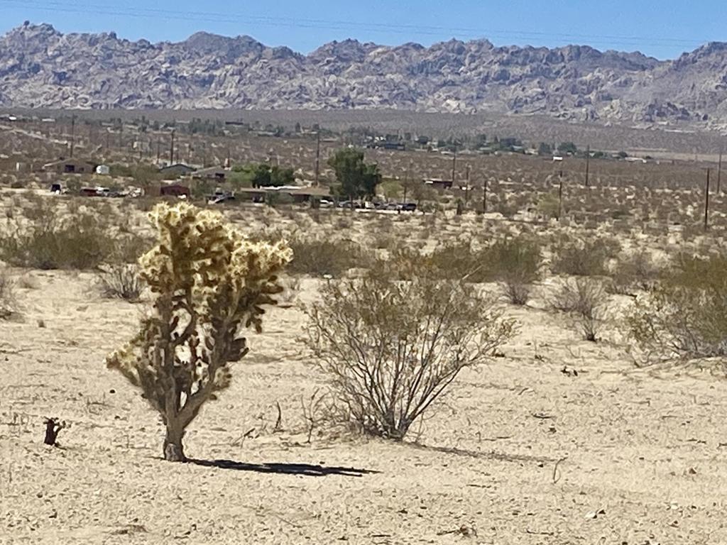 MLS #219133463PS image #7