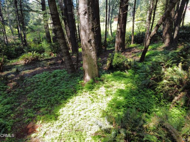 Detail Gallery Image 14 of 23 For 44551 Raven Ln, Mendocino,  CA 95460 - – Beds | – Baths