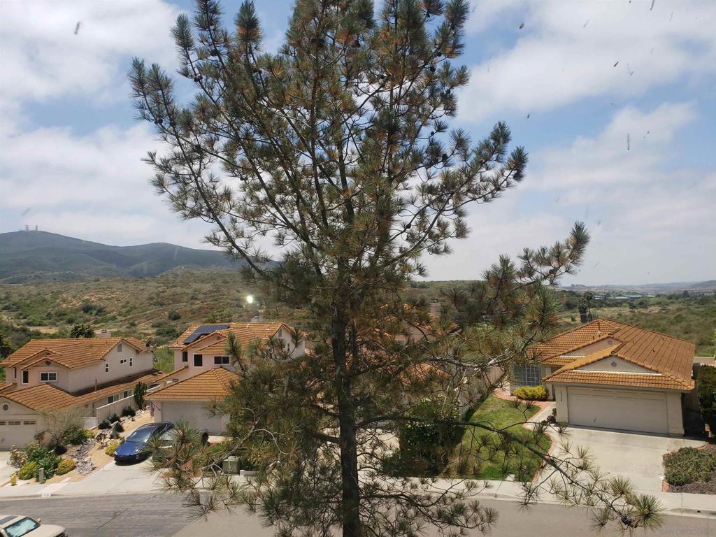 10757 Corte Crisalida - photo 18