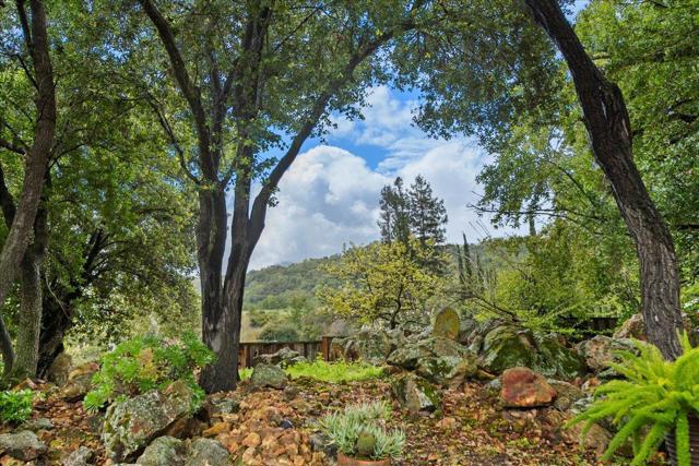 6641 Leyland Park Drive, San Jose CA: https://media.crmls.org/mediaz/24e637df-32b0-4f02-a83d-70bcb80c78c8.jpg