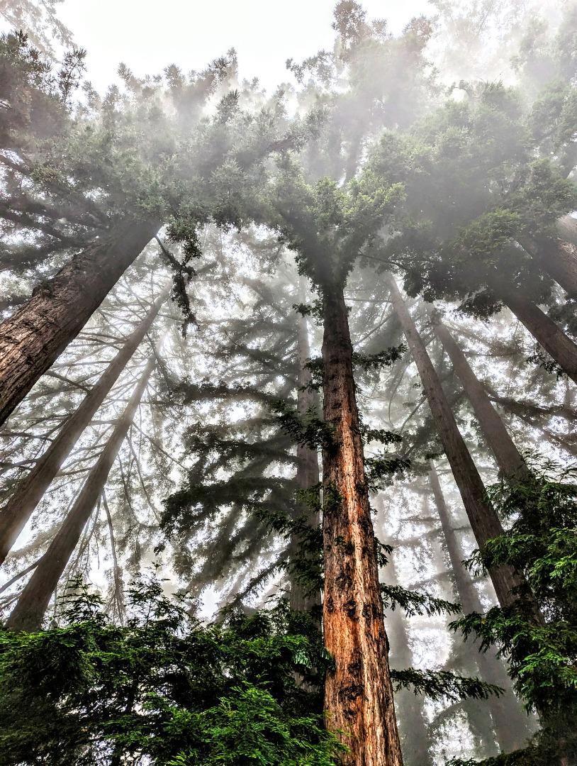 https://media.crmls.org/mediaz/24ec5ad8-e5de-430b-980b-93f3a6e30b4b.jpg?preset=X-Large