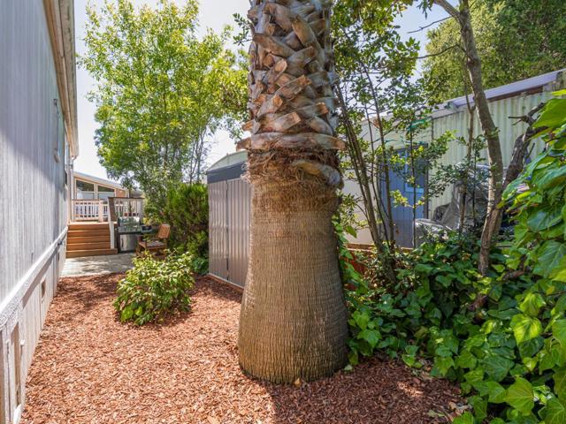 49 Blanca Lane, Watsonville CA: https://media.crmls.org/mediaz/24f44f1b-44ff-44ee-aed2-f5b1dc0ffbc4.jpg