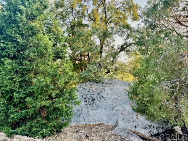 Detail Gallery Image 30 of 37 For 10 Acres Greenfield Way, Palomar Mountain,  CA 92060 - – Beds | – Baths