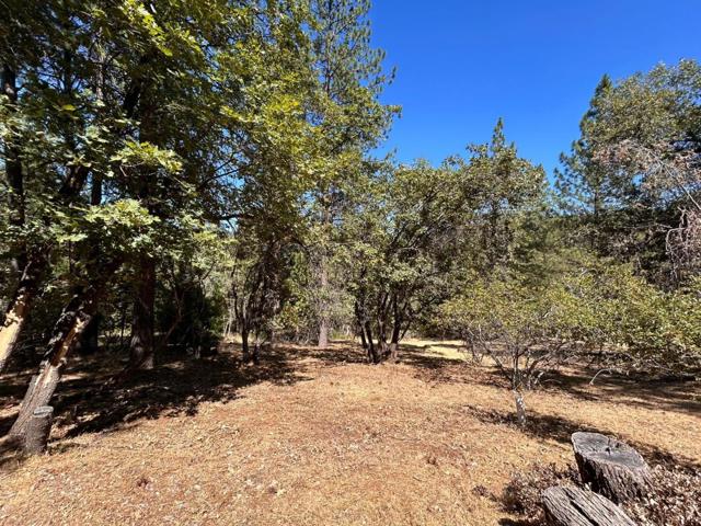 1720 Jacobs Way, Placerville CA: https://media.crmls.org/mediaz/24f69e3c-afa6-4f54-9df6-34192231abfe.jpg