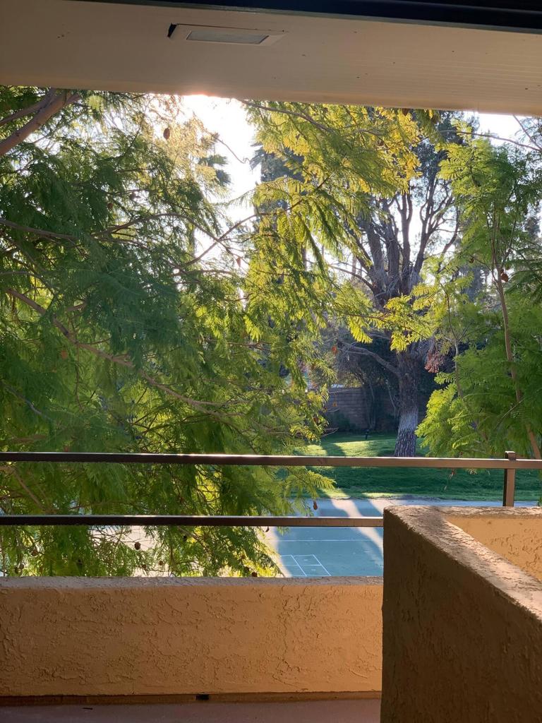 MLS #219135175DA image #4