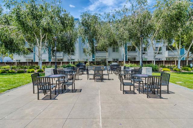 BBQ and Party Area (Community)