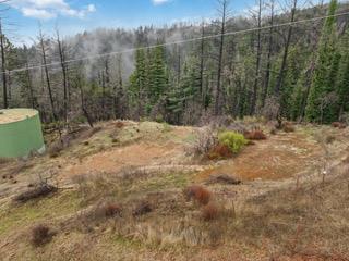 1005 Pinecrest Drive, Boulder Creek CA: https://media.crmls.org/mediaz/25030f7e-3a3c-43bd-8998-4da1c545bde8.jpg