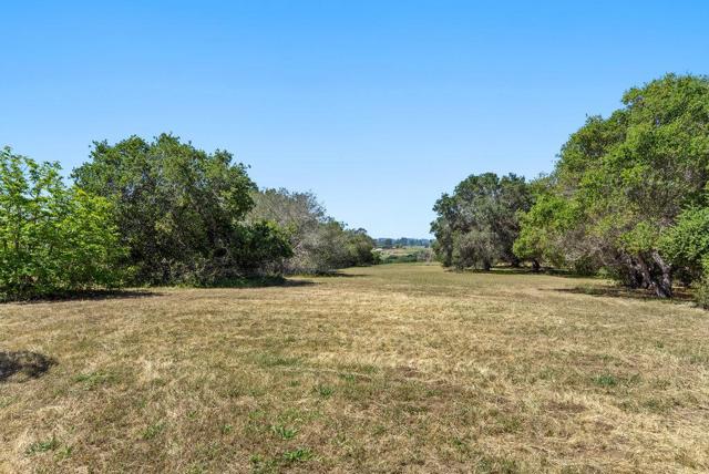 277 Wheelock Road, Corralitos CA: https://media.crmls.org/mediaz/2509c5d2-9f8f-4c81-a571-37046ebe6590.jpg