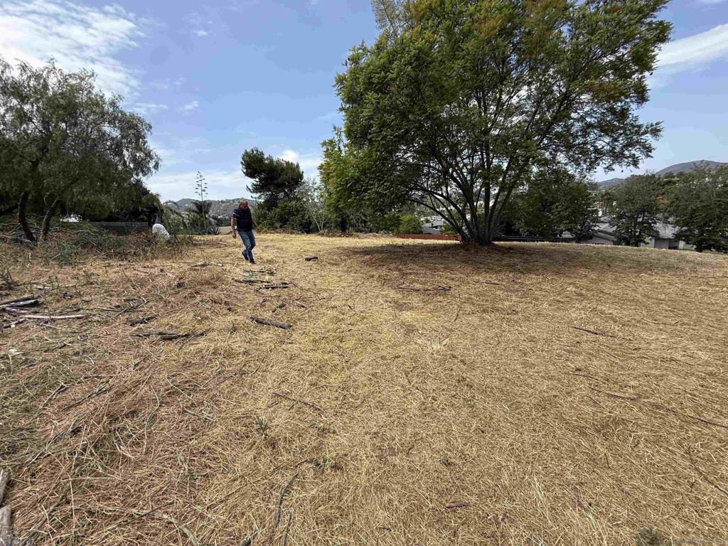 1565 Montiel Rd - photo 11