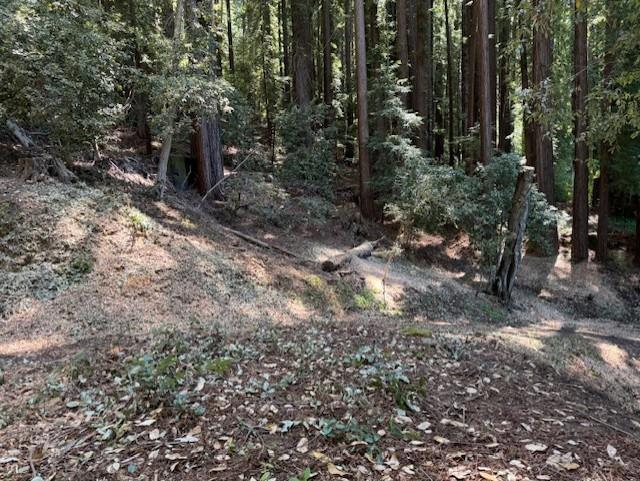 15998 Stetson Road, Los Gatos CA: https://media.crmls.org/mediaz/250d32c0-26ae-4967-98c4-944129bcfd3b.jpg