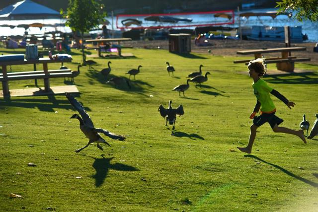 13069 Wells Fargo Drive, Groveland CA: https://media.crmls.org/mediaz/25102962-aeee-495b-aafe-76959db234d9.jpg