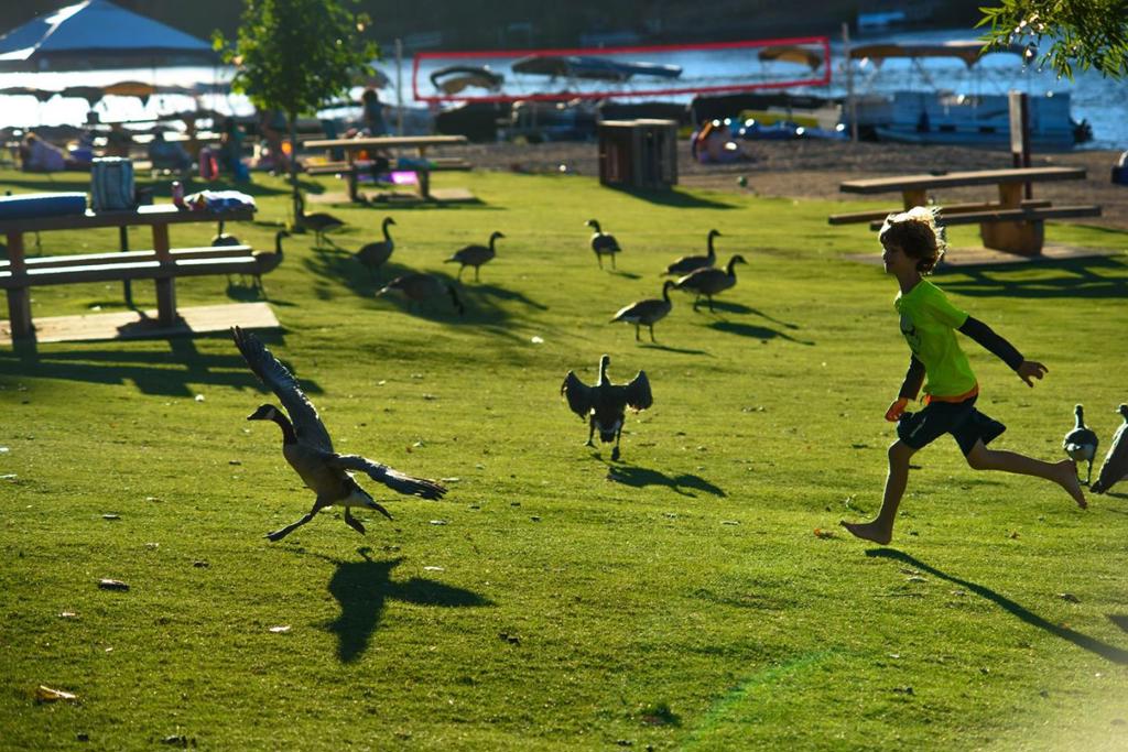 MLS #ML82001218 image #34