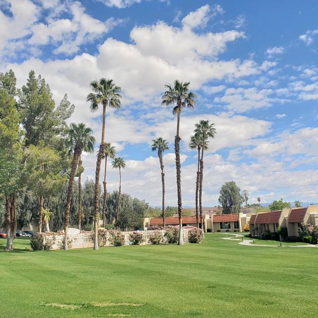 35526 Feliz Court, Rancho Mirage CA: https://media.crmls.org/mediaz/251254e6-b528-4dd9-8b4e-3d57c3f1f955.jpg