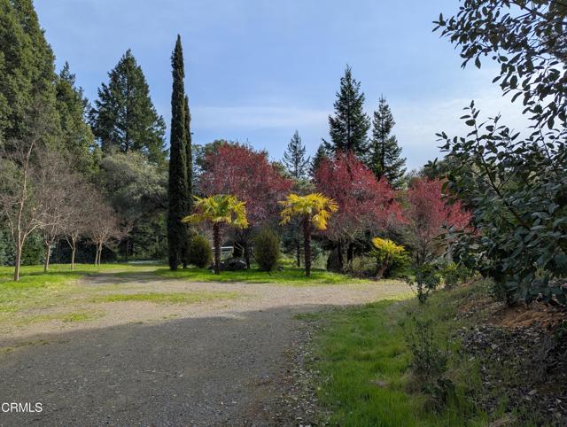 Detail Gallery Image 17 of 49 For 22346 Rickard Ranch Rd, Point Arena,  CA 95468 - – Beds | – Baths