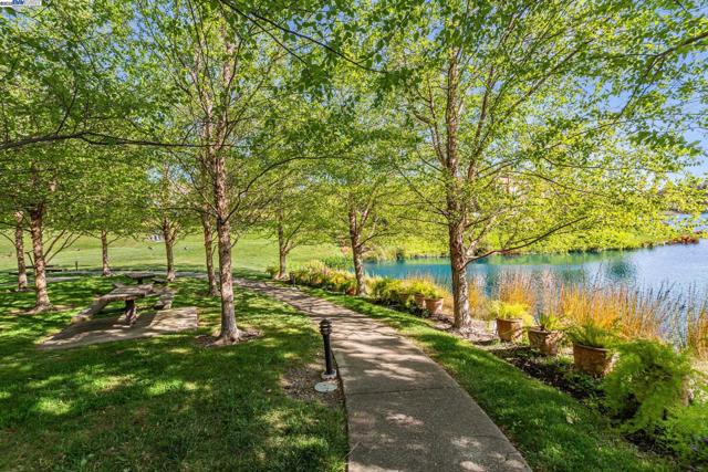 4001 W Lakeshore Drive, San Ramon CA: https://media.crmls.org/mediaz/251ee7a0-cd13-48e3-b338-431bd9000a5b.jpg