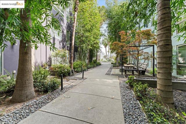 1201 Pine St, Oakland CA: https://media.crmls.org/mediaz/251f5957-4551-4d97-b593-3d6ae8a58e8a.jpg